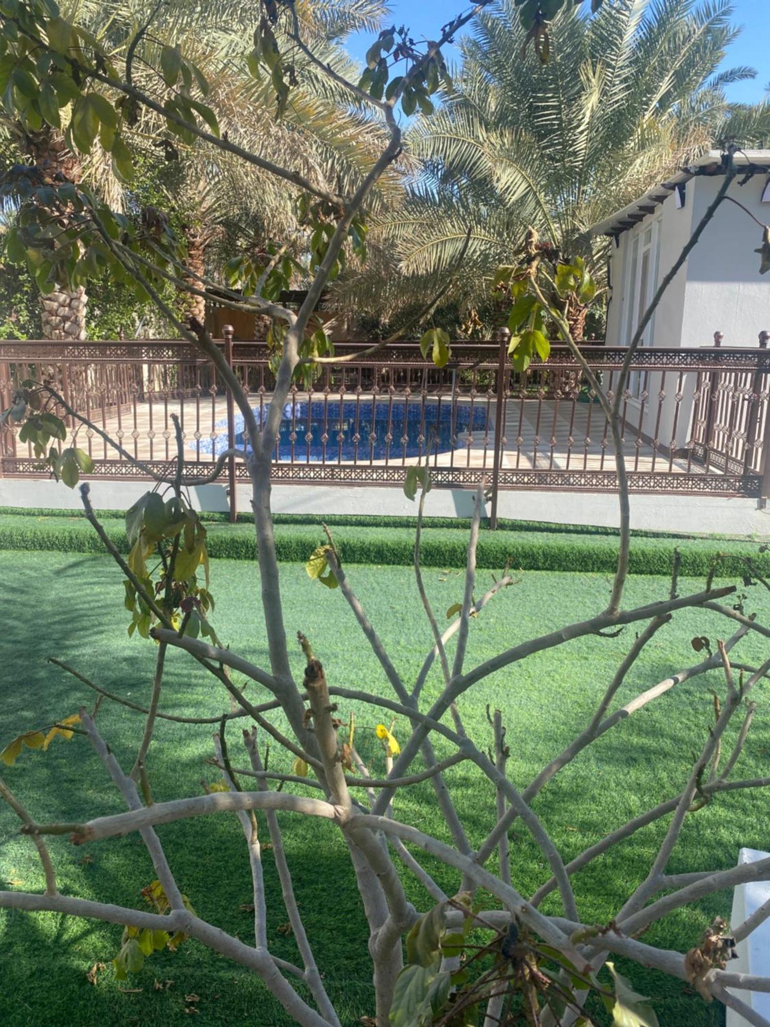 Dar Alhamra دار الحمراء Appartement Al Ḩamrāʼ
